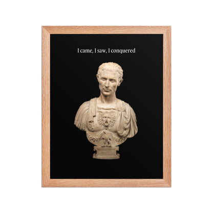 Julius Caesar Framed Poster (Premium Luster Photo Paper)