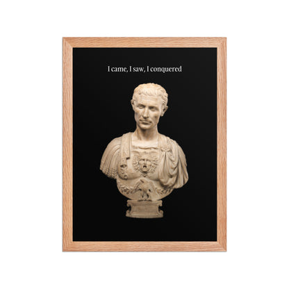 Julius Caesar Framed Poster (Premium Luster Photo Paper)