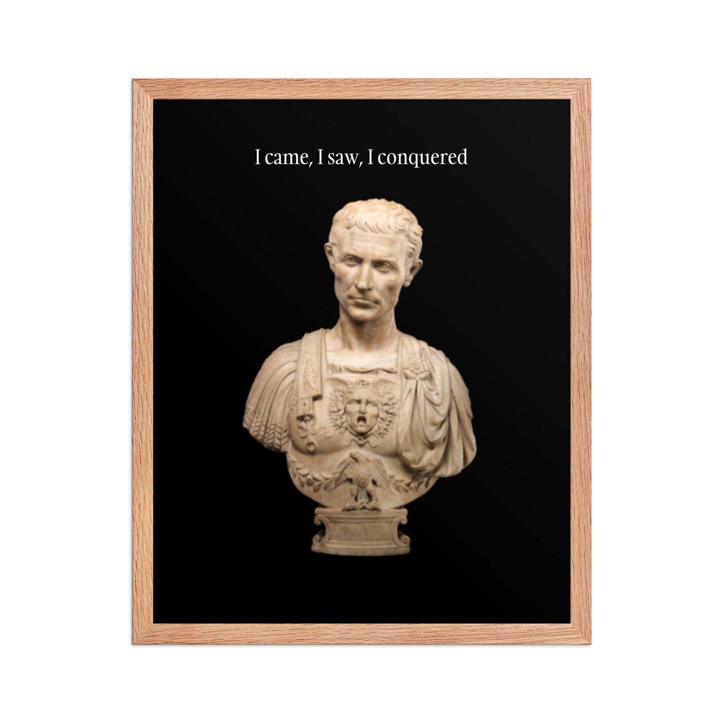 Julius Caesar Framed Poster (Premium Luster Photo Paper)