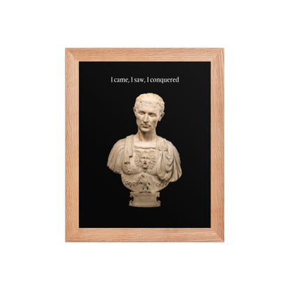 Julius Caesar Framed Poster (Premium Luster Photo Paper)